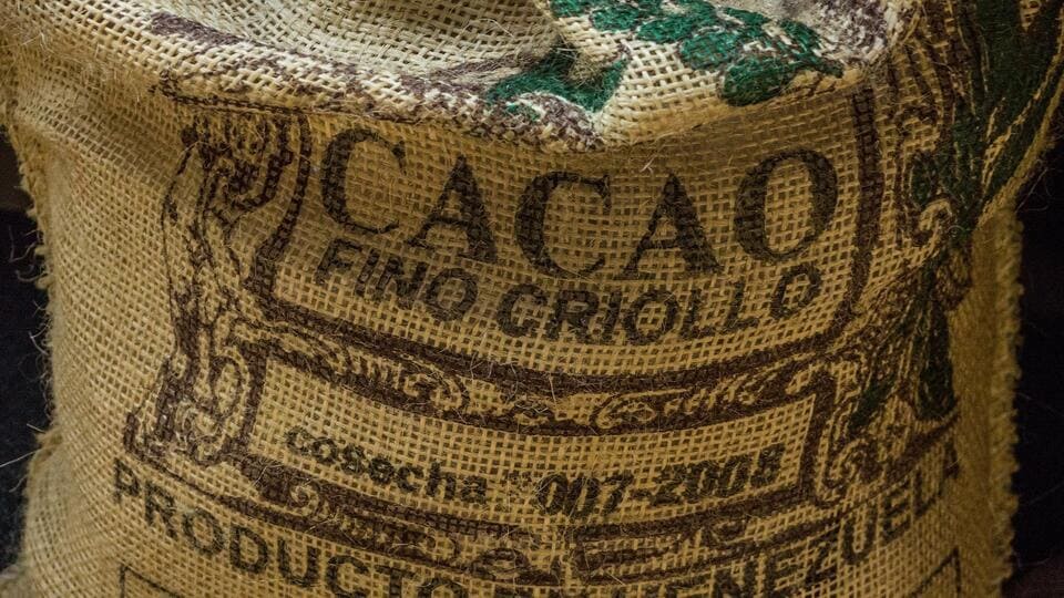 Greypark - Fragancia y materia prima Cacao